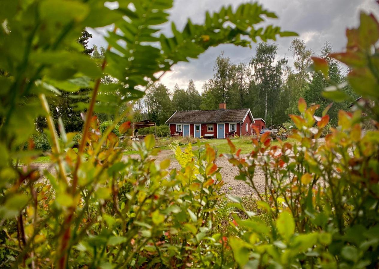 Ekologiska Fru Gran B&B I Tiveden Gardsjo Esterno foto