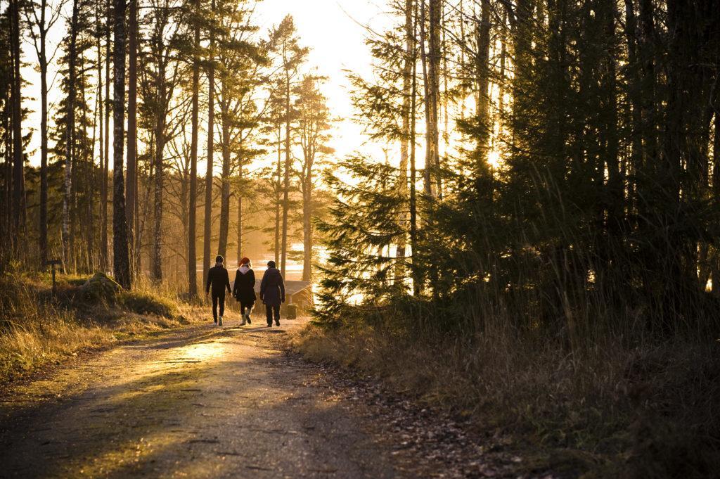 Ekologiska Fru Gran B&B I Tiveden Gardsjo Esterno foto