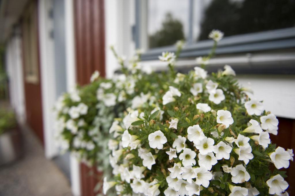 Ekologiska Fru Gran B&B I Tiveden Gardsjo Esterno foto